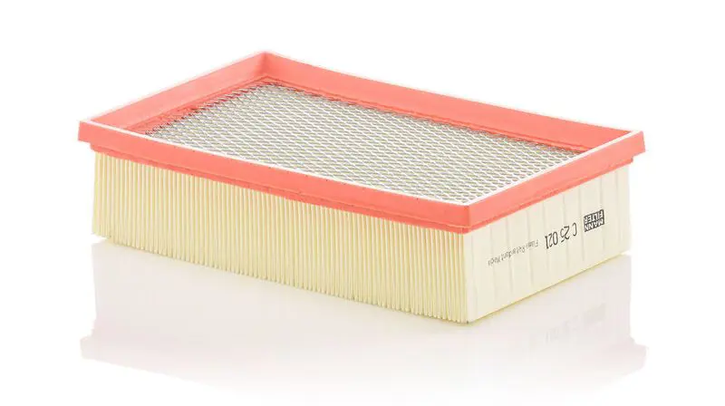 Gaisa filtrs MANN C25021