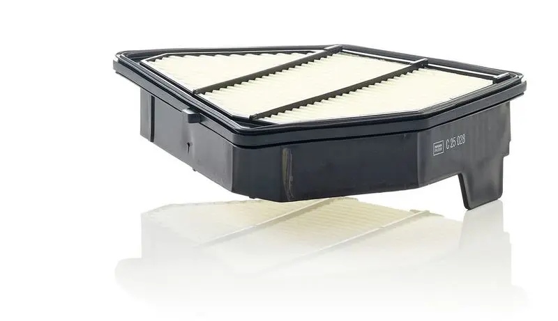 Gaisa filtrs MANN C25028