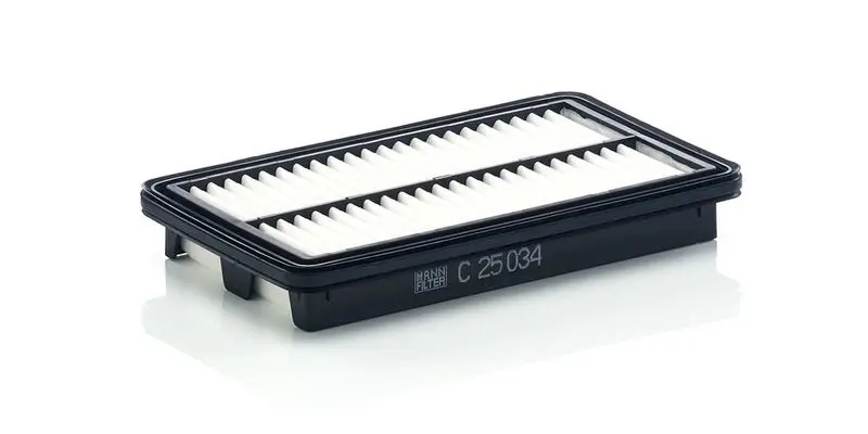 Gaisa filtrs MANN C25034