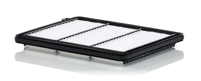 Gaisa filtrs MANN C25051