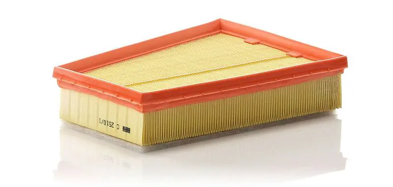 Gaisa filtrs MANN C25101