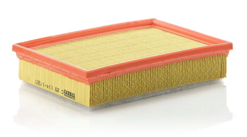 Gaisa filtrs MANN C251141