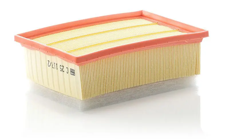 Gaisa filtrs MANN C251172