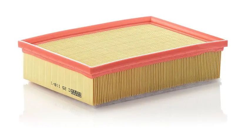 Gaisa filtrs MANN C251181