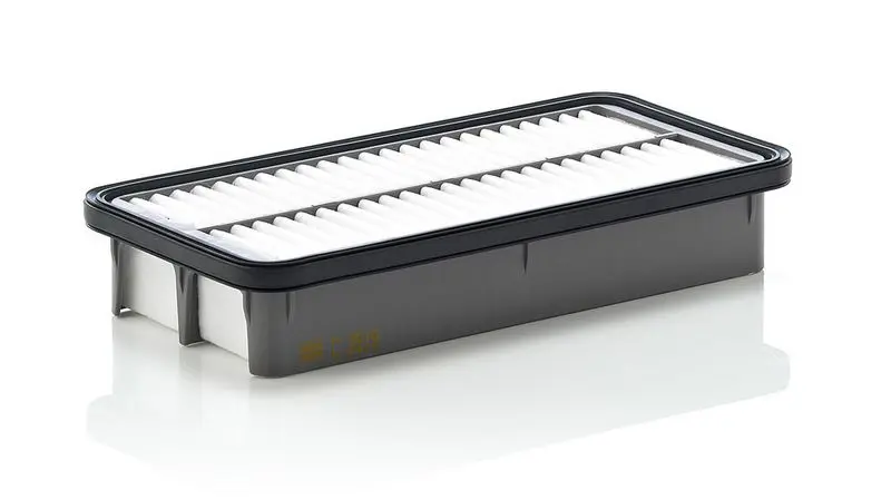 Gaisa filtrs MANN C2519