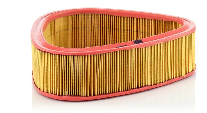 Gaisa filtrs MANN C2541