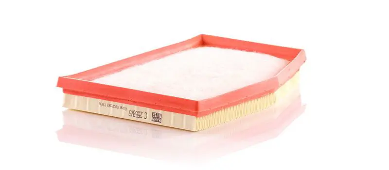 Gaisa filtrs MANN C25585