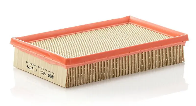 Gaisa filtrs MANN C2579