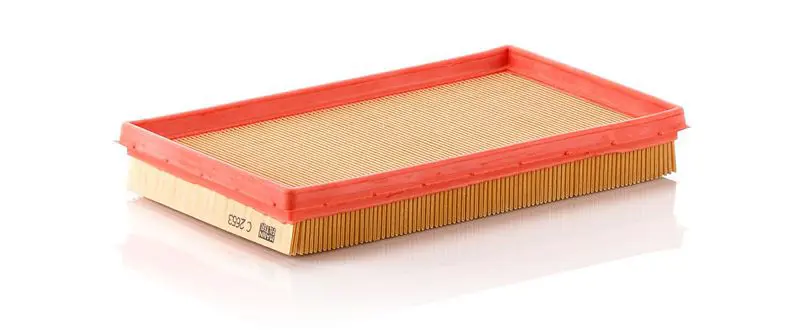 Gaisa filtrs MANN C2653