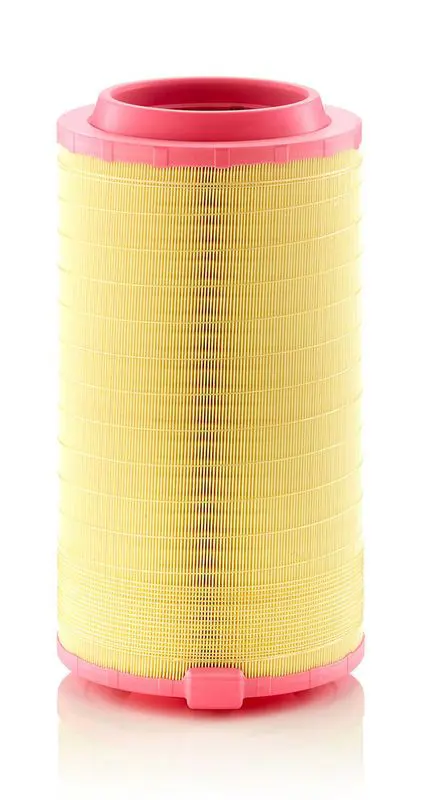 Gaisa filtrs MANN C270381