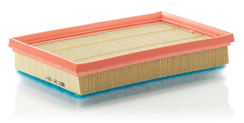 Gaisa filtrs MANN C281051