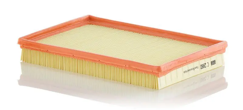 Gaisa filtrs MANN C2880