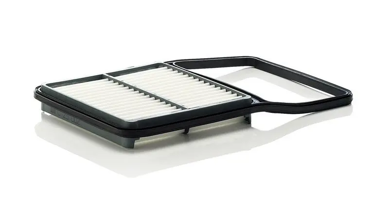 Gaisa filtrs MANN C29002