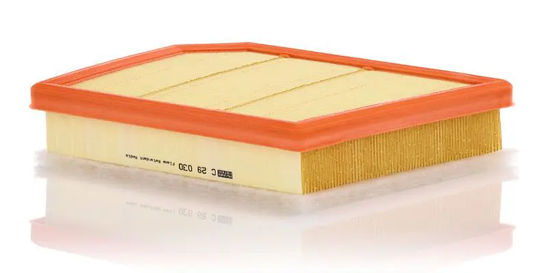 Gaisa filtrs MANN C29030