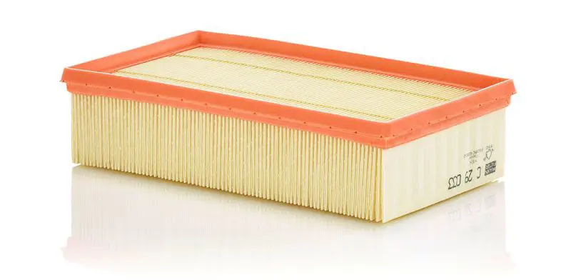 Gaisa filtrs MANN C29033