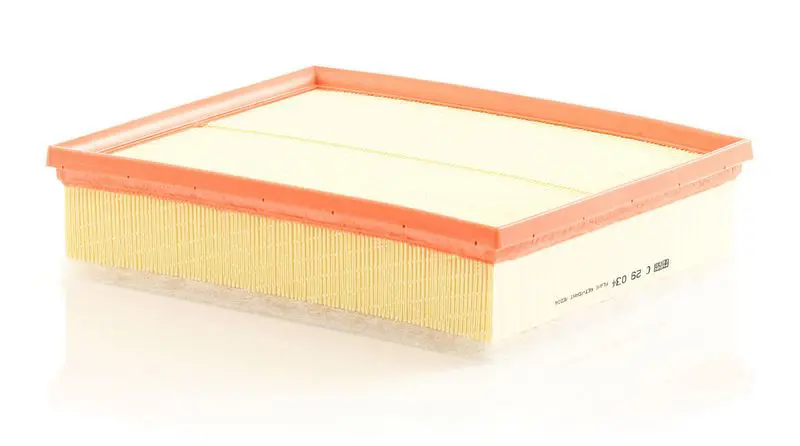 Gaisa filtrs MANN C29034