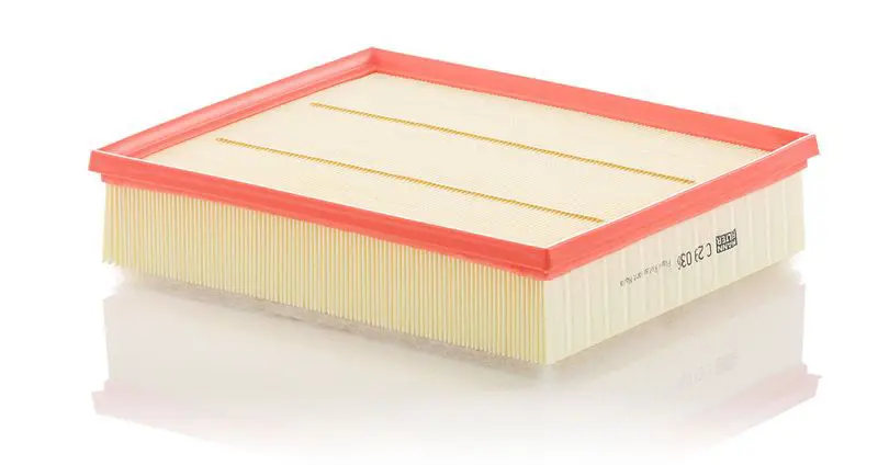 Gaisa filtrs MANN C29036