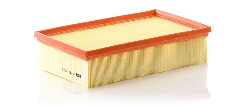 Gaisa filtrs MANN C30005