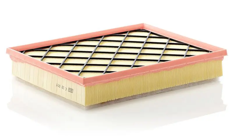 Gaisa filtrs MANN C33001