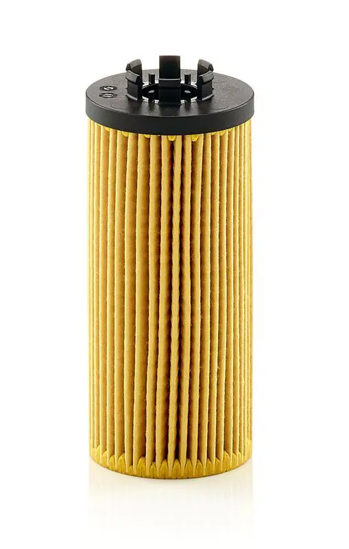 Eļļas filtrs MANN HU6012zKIT