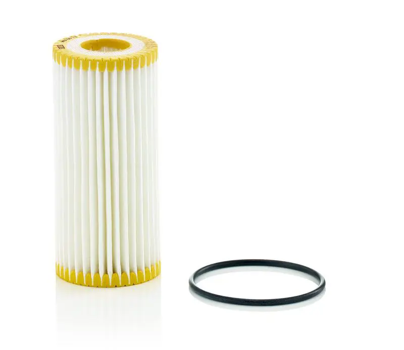 Eļļas filtrs MANN HU6013z