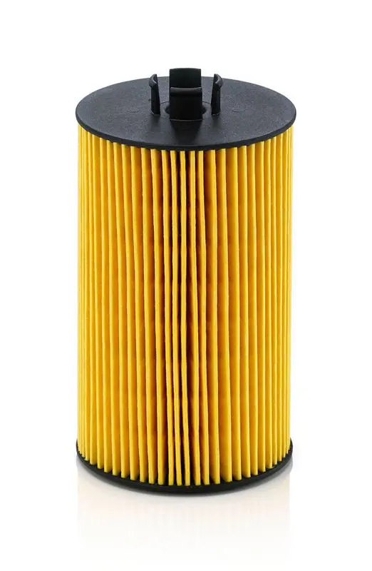 Eļļas filtrs MANN HU9317x
