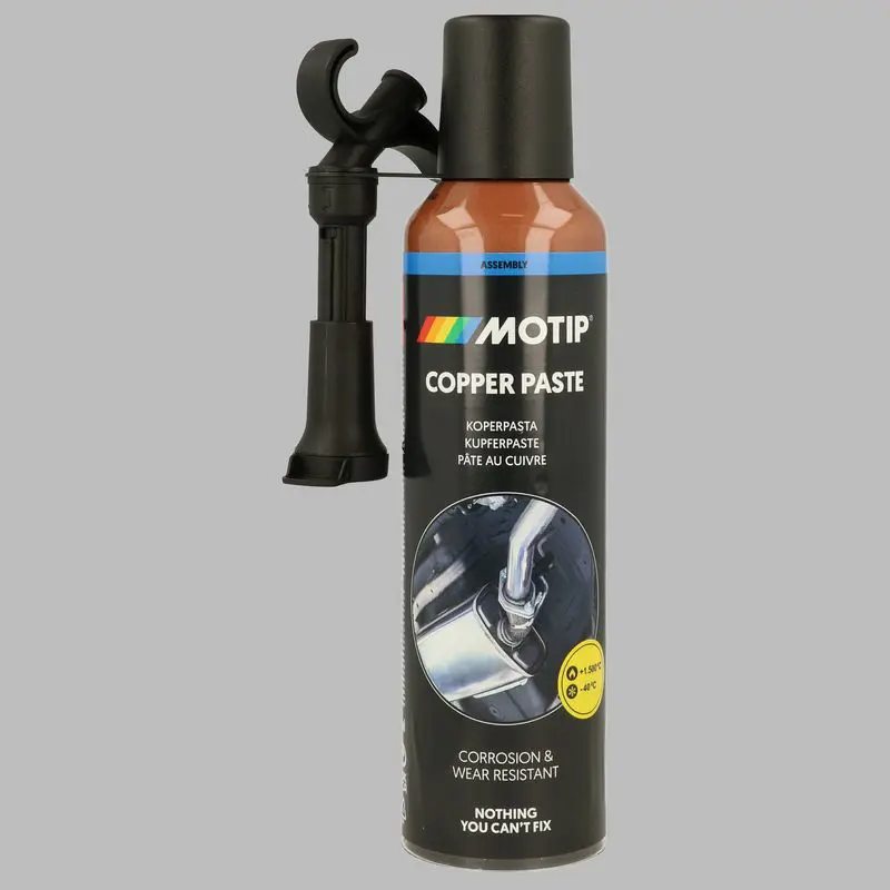Montāžas pasta MOTIP 090313