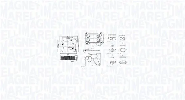 Eļļas radiators, Motoreļļa Magneti Marelli 350300001300