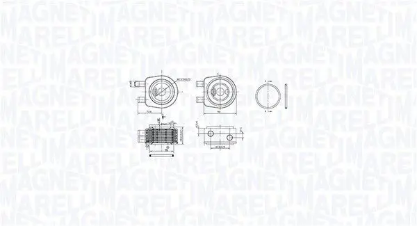 Eļļas radiators, Motoreļļa Magneti Marelli 350300001900