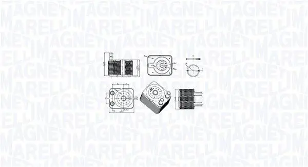 Eļļas radiators, Motoreļļa Magneti Marelli 350300003100