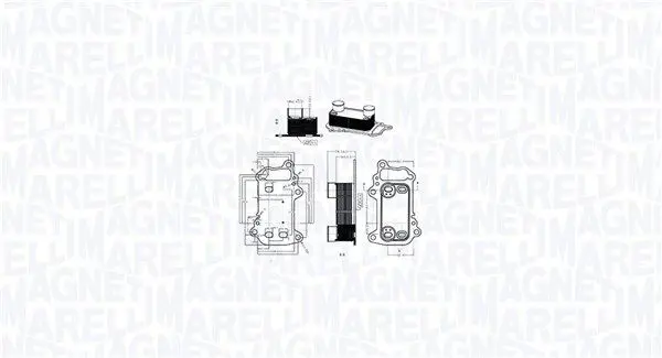 Eļļas radiators, Motoreļļa Magneti Marelli 350300003900