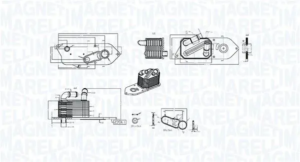 Eļļas radiators, Motoreļļa Magneti Marelli 350300006800