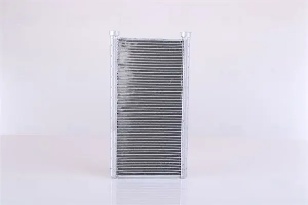 Siltummainis, Salona apsilde NISSENS 70235