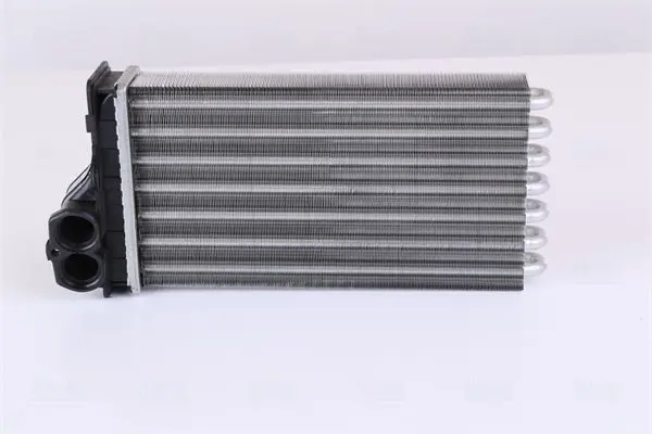 Siltummainis, Salona apsilde NISSENS 707091