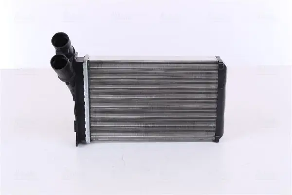 Siltummainis, Salona apsilde NISSENS 71156