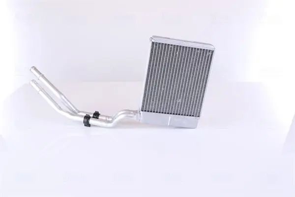 Siltummainis, Salona apsilde NISSENS 71773