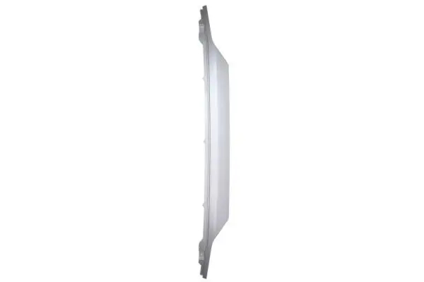 Wind Deflector PACOL DAFCP023