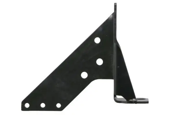 Mounting Bracket, bumper PACOL DAFFB069R