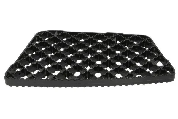 Kāpslis PACOL IVESP033