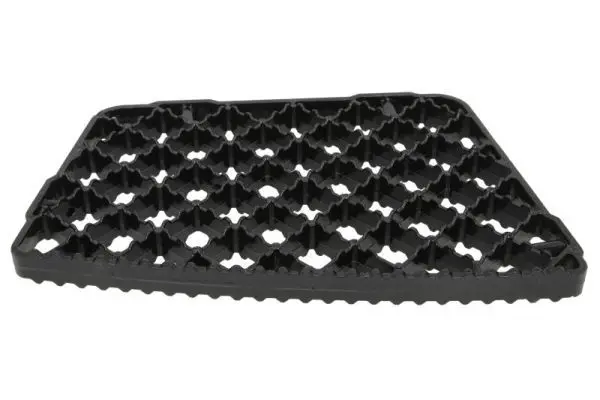 Kāpslis PACOL IVESP034