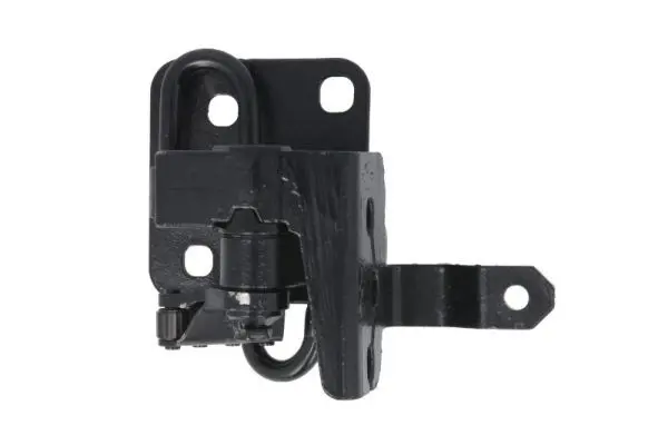Door Hinge PACOL MERDH013L