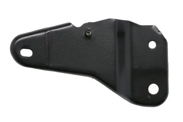 Mounting Kit, sun visor PACOL SCACP022L