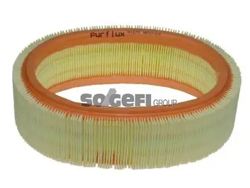 Gaisa filtrs PURFLUX A1278