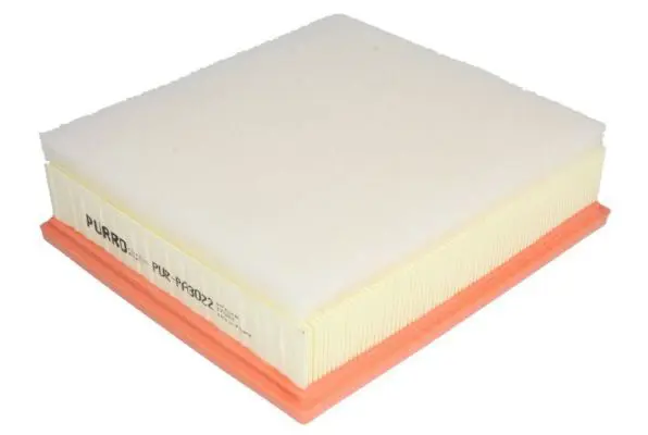 Gaisa filtrs PURRO PURPA3022