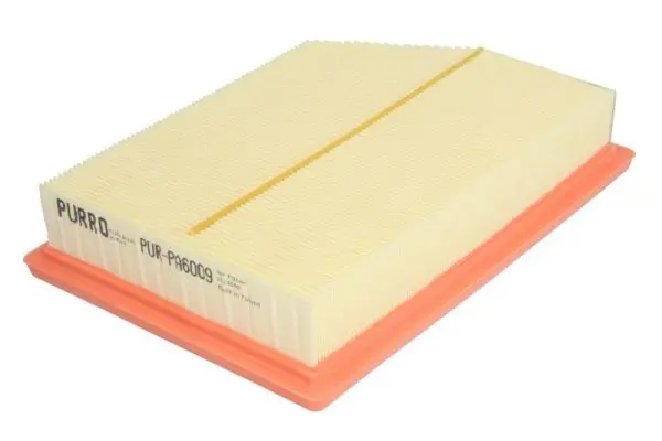 Gaisa filtrs PURRO PURPA6009