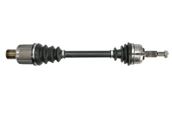 Drive Shaft Pascal G2E013PC