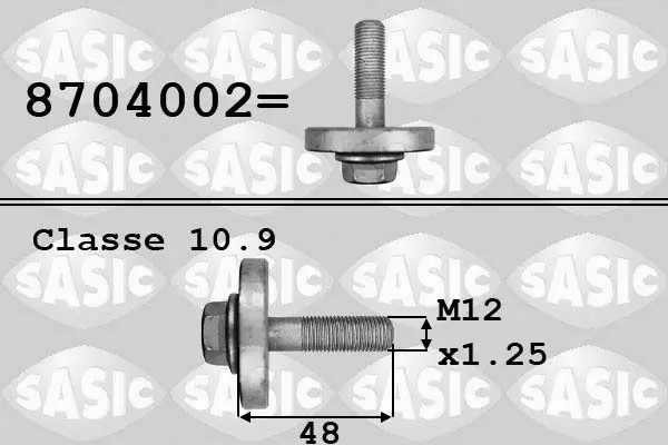 Piedziņas skriemeļa skrūve SASIC 8704002