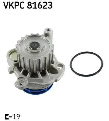 Ūdenssūknis SKF VKPC81623