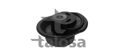 Bushing, axle cross member TALOSA 6201520