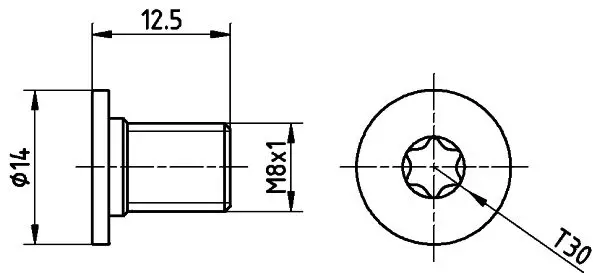 Skrūve, Bremžu disks TEXTAR TPM0002